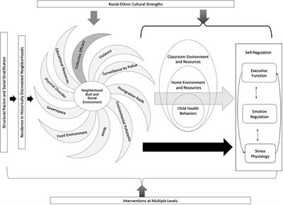 Neighborhood influences on the development of self-regulation among children of color living in historically disinvested neighborhoods: Moderators and mediating mechanisms